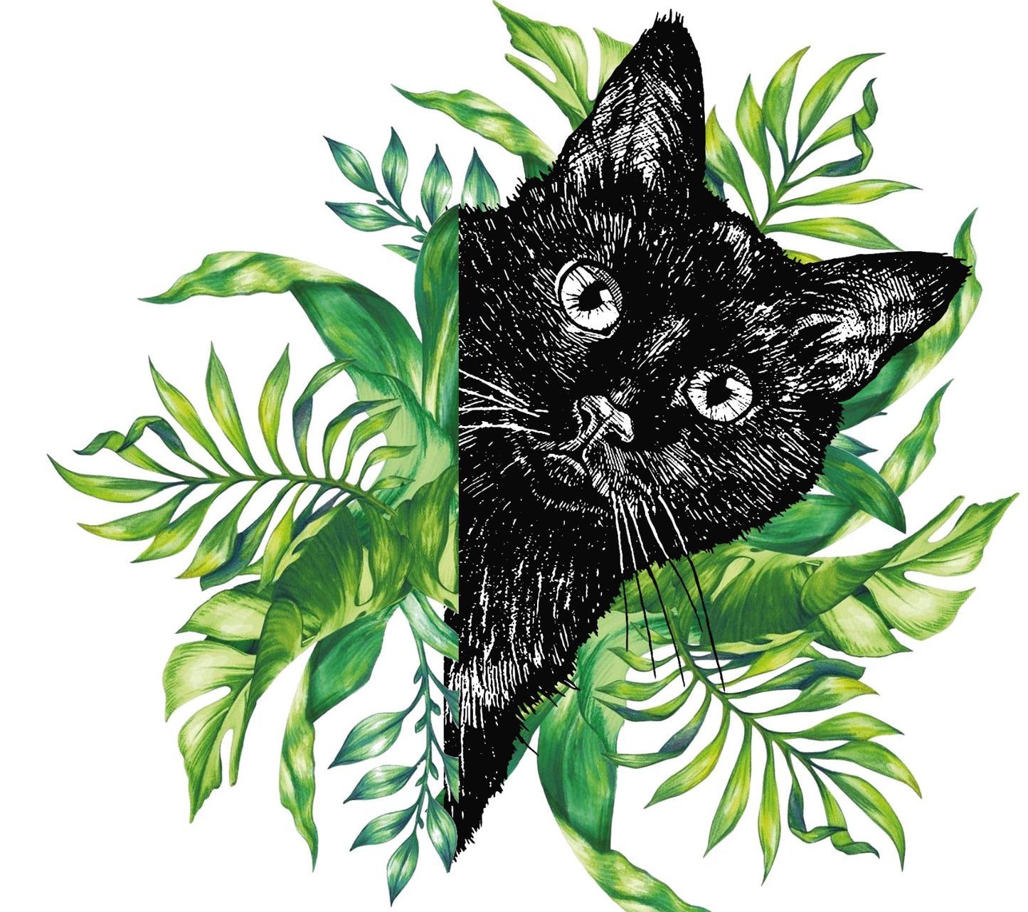 Ash the Black Cat Botanical Digital Artwork – Printable Wall Art
